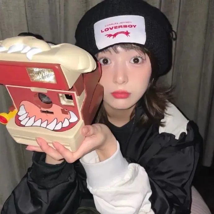 树袋熊
